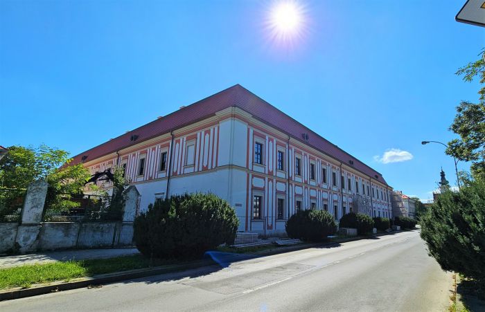 The Zamojska Academy