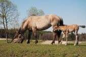 Der Nationalpark Roztocze – ein Paradies der Frau Natur