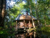 Górecko Kościelne –where 1000-year-old oaks whisper 