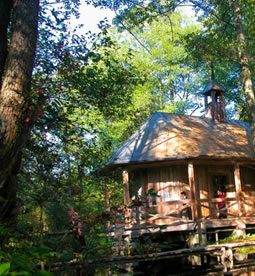 Górecko Kościelne –where 1000-year-old oaks whisper 