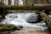 Józefów – im Stein, wo Teufel  hopsen 