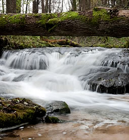 Józefów – where evil spirits are rampant 